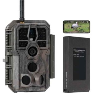 Best Trail Cameras